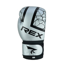 Rex Sports BG-20 Silver Boxing Gloves